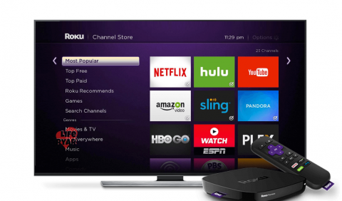 How To Install Hulu On Roku [Guide 2021] - Life Pyar